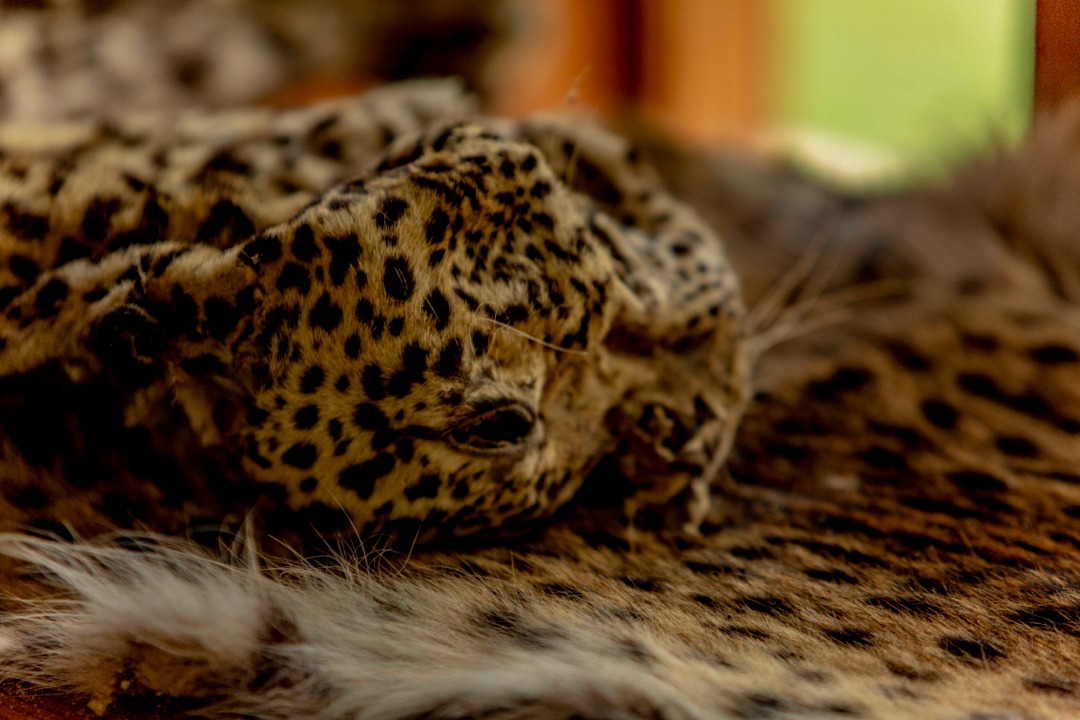 Post Title Placeholder