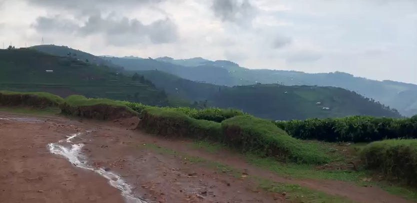 Discovering the Congo Nile Divide 