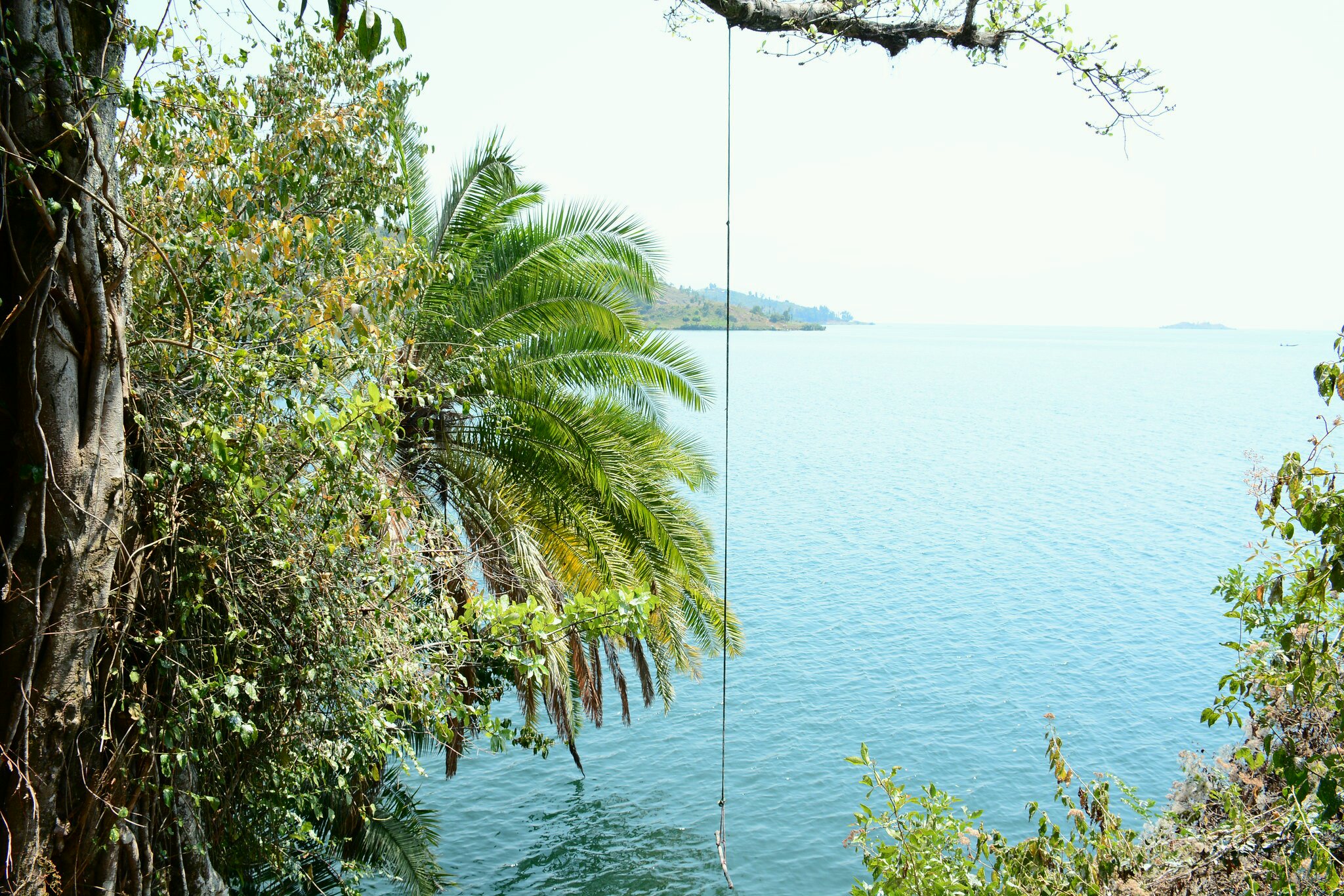 Post Title Placeholder