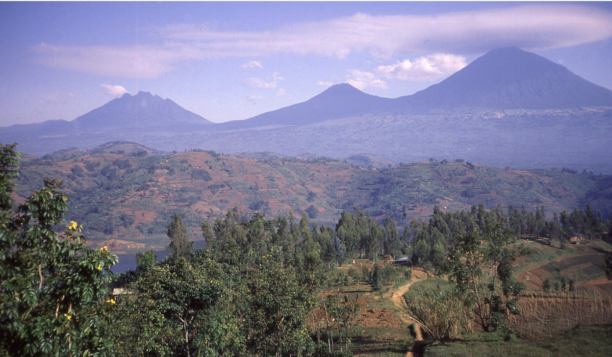 Post Title Placeholder